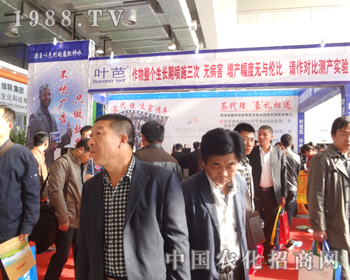 葉芭只做效果，不做吹牛的廣告