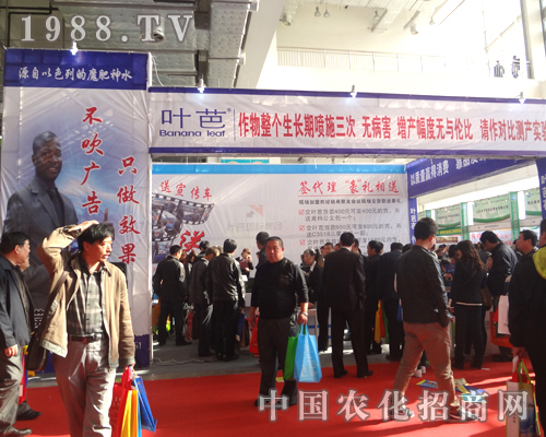 葉芭只做效果，不做吹牛的廣告