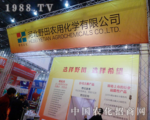 選擇野田 選擇希望