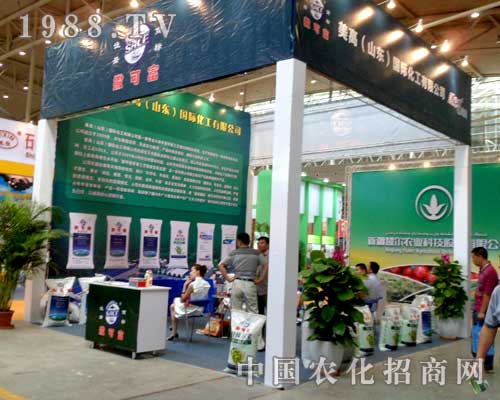 ���߇�(gu��)�H�����ڵ�ʮ�����½��r(n��ng)����(hu��)�ϴ�������