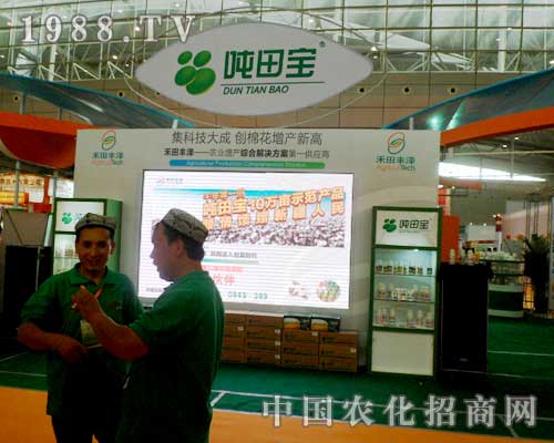 �����S���������F(xi��n)�ڵ�ʮ�����½��r(n��ng)�I(y��)���[����