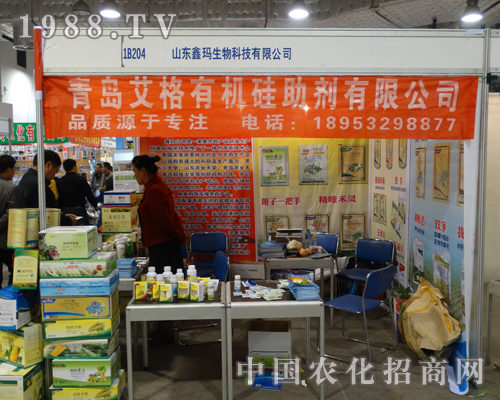 ���u�����������2013��19��ɽ�|ֲ�����ו�(hu��)