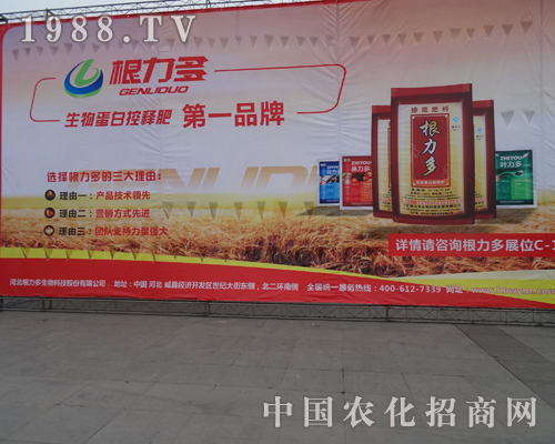 ��������������2013�׏�(f��)��չ�[��(hu��)