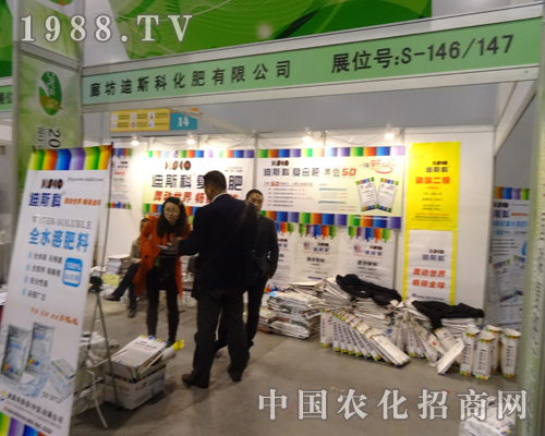 2013���׏ͷʕ��h�ϵ�˹�ƻ���