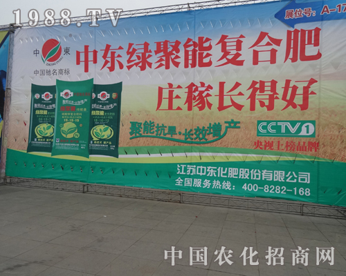 �Ж|���ʳ��F(xi��n)���Ї�(gu��)�׏�(f��)��չ�[��(hu��)