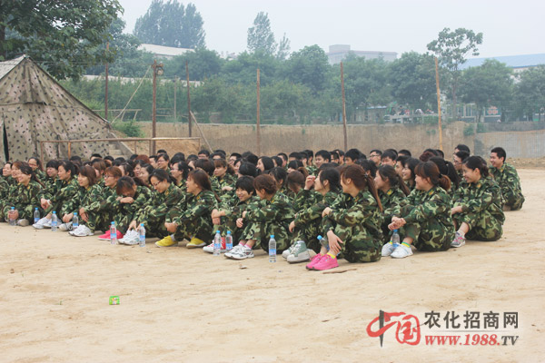 組建團(tuán)隊(duì),一個都不能少