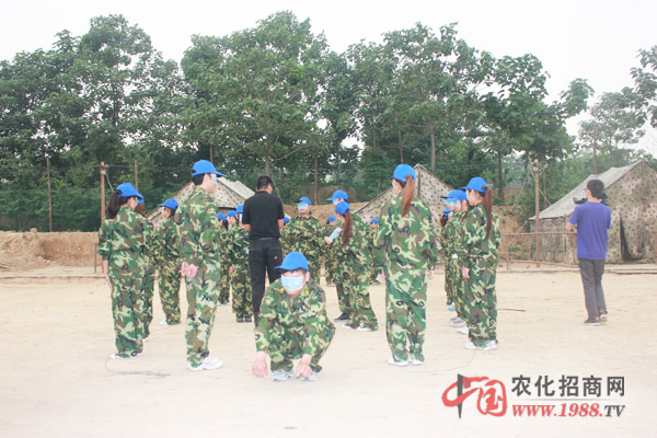 牧羊犬-體現(xiàn)團隊溝通重要性