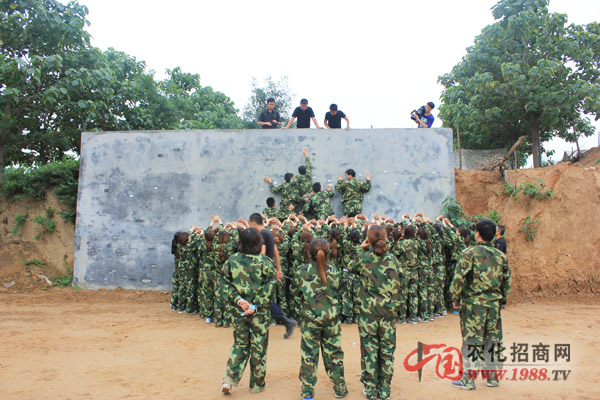 幸福畢業(yè)墻