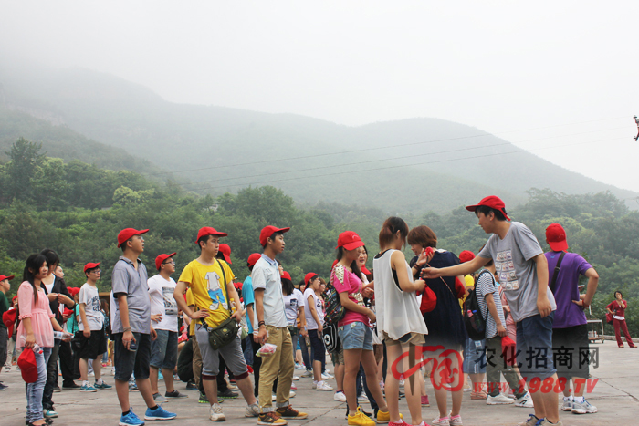 �v��ͣ�����҂�