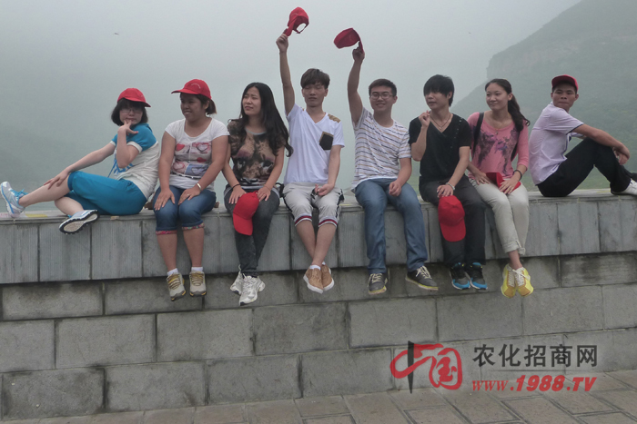 歡笑的一群家伙