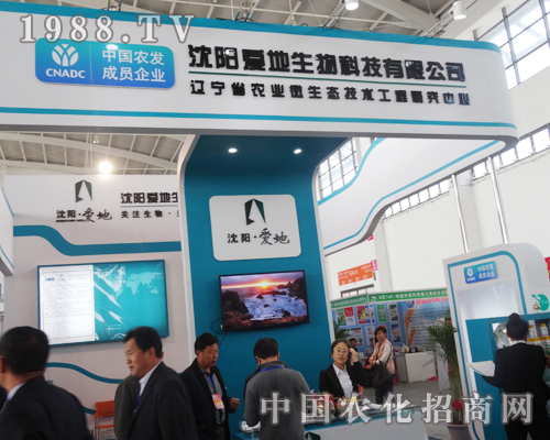 �۵�����Ƽ�����������p�����`��