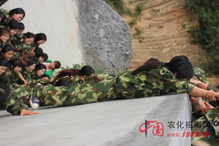 �ġ���������·���������I(y��)�����ɂ�(g��)�Α��ǎ��o��Ҹ��|����Ӱ푵ăɂ�(g��)�(xi��ng)Ŀ��