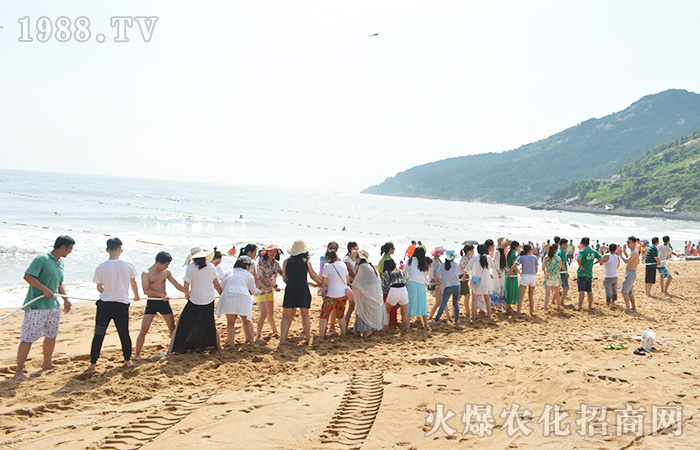 ���ܴ������w����