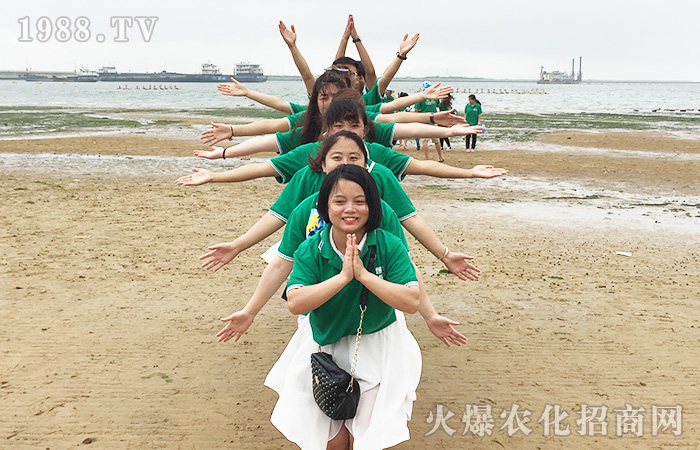 ���w������������