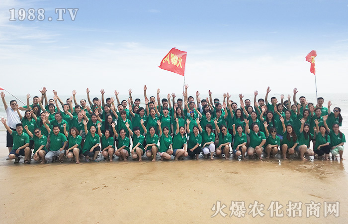 ���w������������