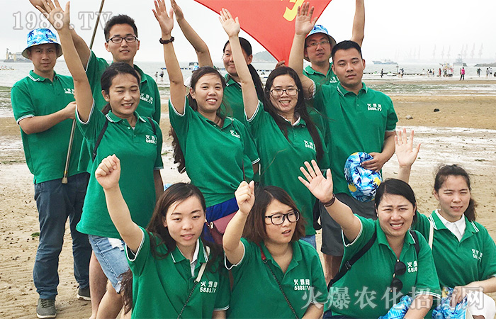     �����B�Ƹۣ����ܺ����������