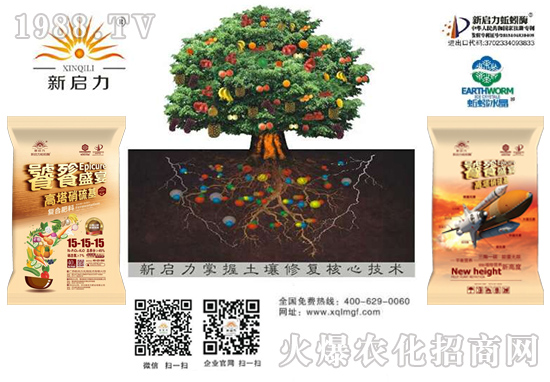 ���V�����������R����u�꼪���������d¡������������