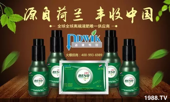 荷蘭諾德韋克化工集團