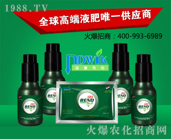 荷蘭諾德韋克化工集團