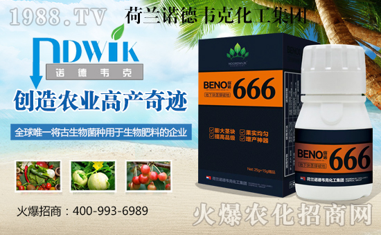 荷蘭諾德韋克化工集團4