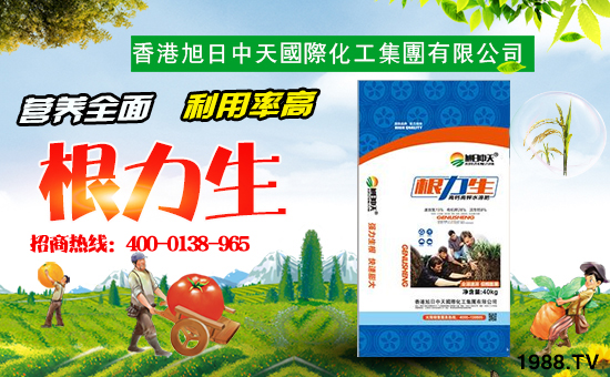 香港旭日中天國際化工集團有限公司1