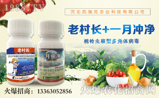 �ӱ��P����r(n��ng)�I(y��)�Ƽ����޹�˾