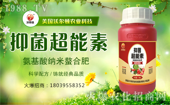 【美國沃爾頓】恭祝大家新年快樂,萬事如意!