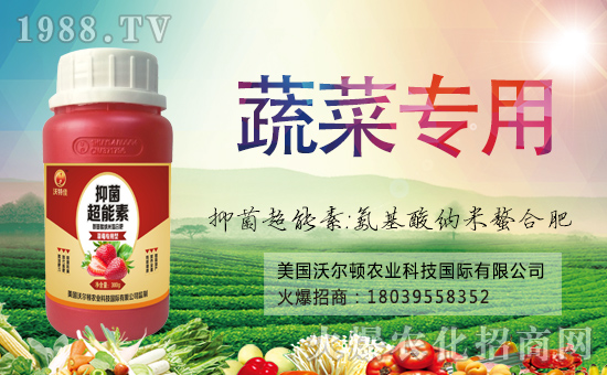 【美國沃爾頓】恭祝大家新年快樂,萬事如意!