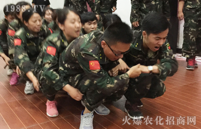 �𱬾W(w��ng)2017��(d��ng)���X��Ӗ(x��n)���I(y��ng)