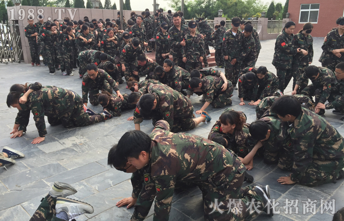  ��Ӗ(x��n)�����w�������w�������棬��������빤��