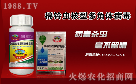 ���¹چ̵ϡ�ף������µ�һ�����f���������������