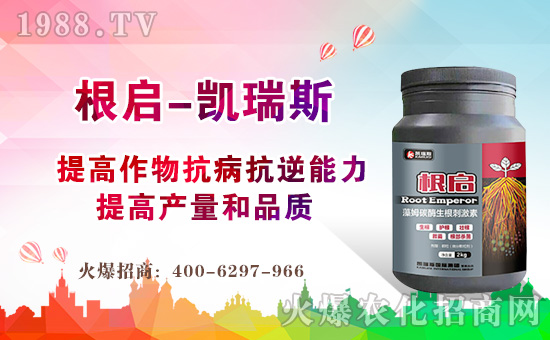 ���P��˹���H��ף������µ�һ�����H�Қg�����Ҹ����M��