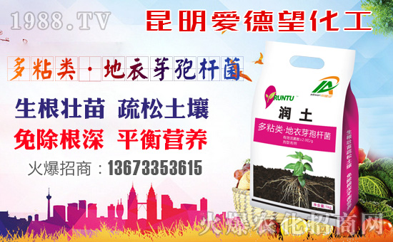 ���۵���������ף������µ�һ�����Ҹ����M���H�Қg����