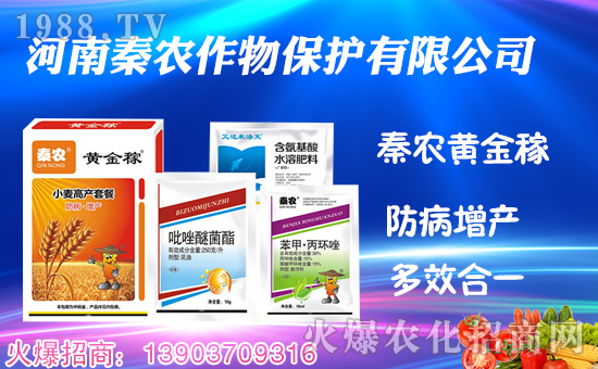 �����r(n��ng)���ף������µ�һ���﹤�����������������