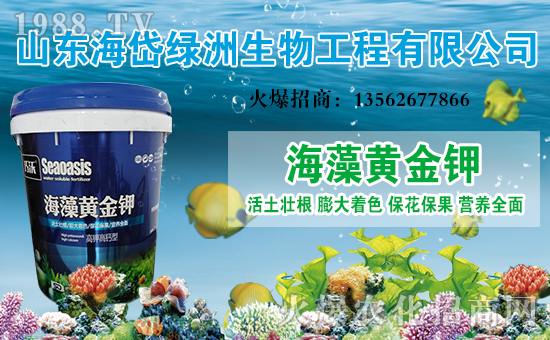 ����᷾G�ޡ�ף������옷���Ҹ��d�d��