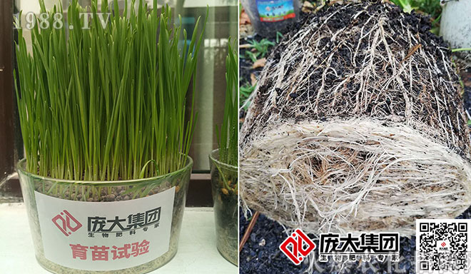 ���󼯈F��Ʒ�}��һ��