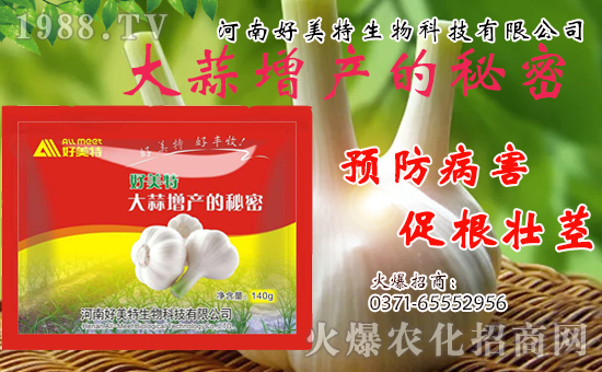 �����������ף������w�����������d�����H���Ҹ���