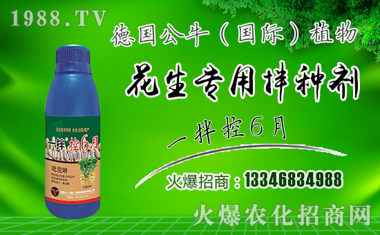 ����������ף������µ�һ���﹤�����������������