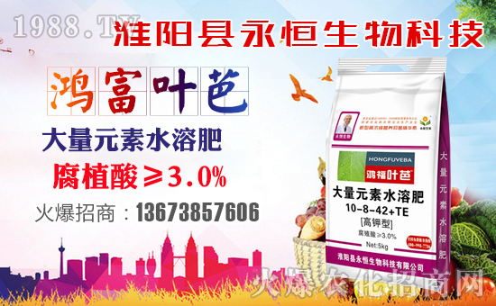 ���������ף������µ�һ���﹤�����������������