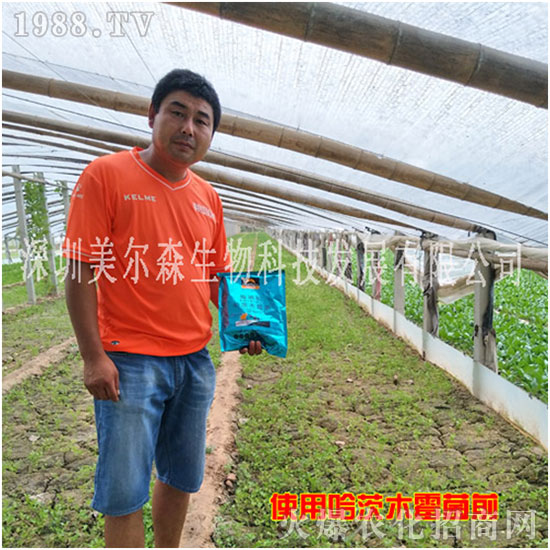 ������ɭ����������µ�һ�������w�����������³����f��������