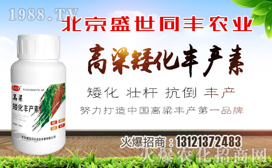 ��ʢ��ͬ�S��ףȫ��(gu��)���ѹ���󼪣��f(w��n)��������