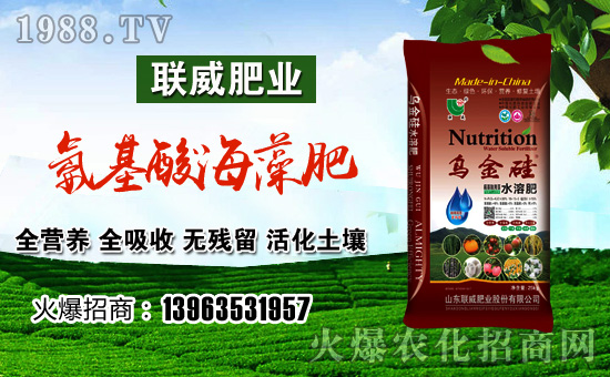 ��(li��n)���ʘI(y��)��ף������µ�һ���﹤�����������������