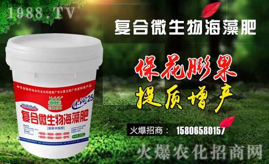 �������_���ף������µ�һ���﹤�����������������