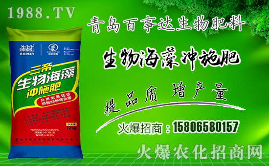 �������_���ף������µ�һ���﹤�����������������