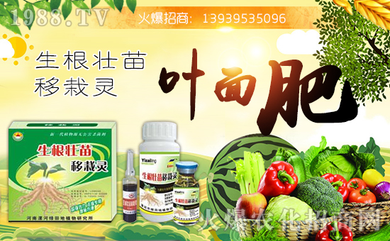 【綠田地植物】祝大家在新的一年里身體健康,萬(wàn)事如意!