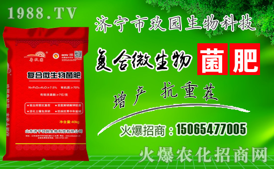 �����@���ףһ·�߁�(l��i)�����т����w���������������