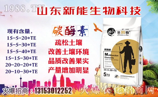 ���������ף�������옷���f��������