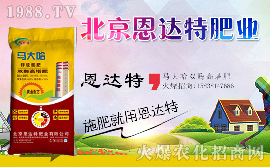 �����_(d��)�طʘI(y��)��ף���g�gϲϲӭ�������f������ƽ���꣡