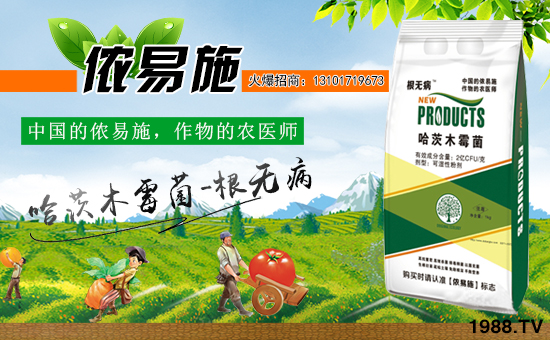 ���Ї����z��ʩ��ȫ�w�T����ף�V������͑�����옷���f��������