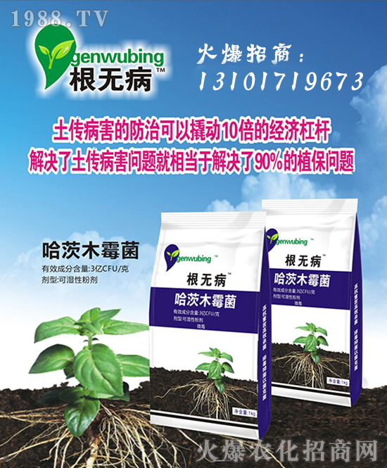 ���Ї����z��ʩ��ȫ�w�T����ף�V������͑�����옷���f��������